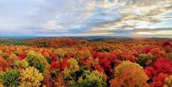 New England Foliage.jpg